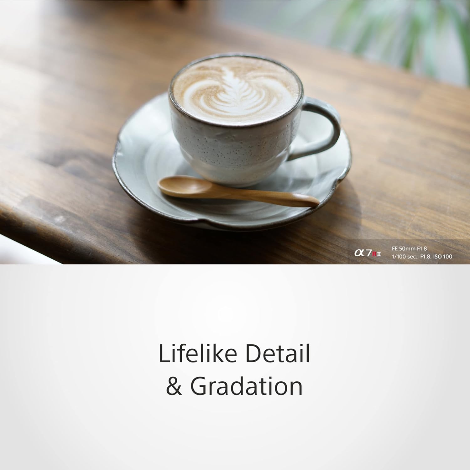 Sony 50mm f/1.8 Full-Frame E-Mount Prime Lens - Image 3